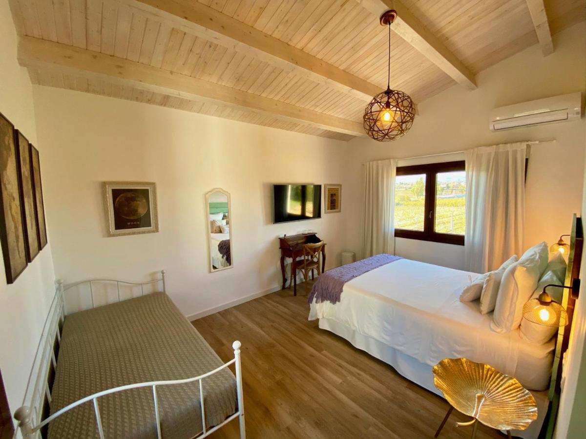 Bed & Breakfast Wine & Cooking Penedes Pla del Panadés Exteriör bild